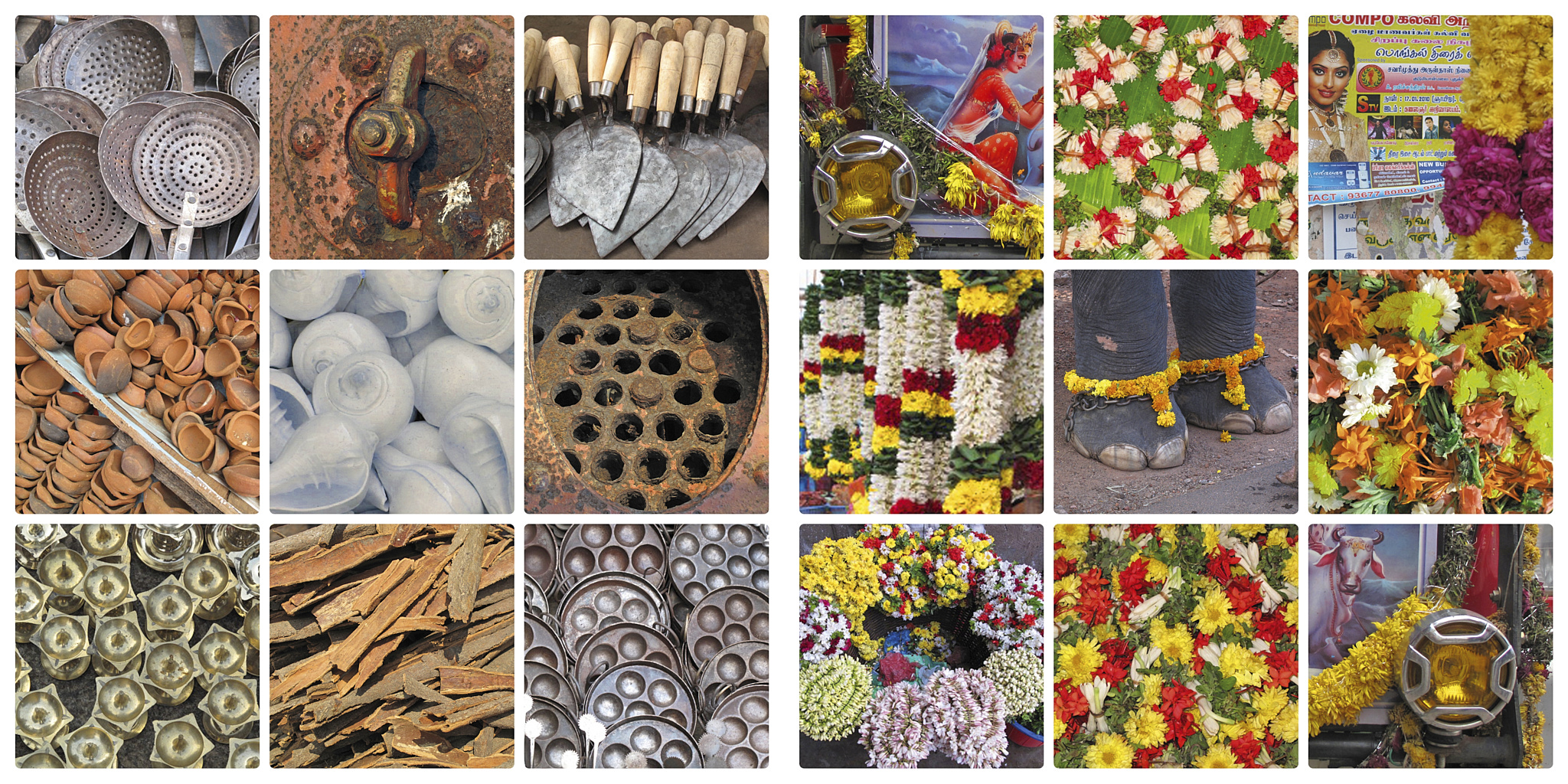 India%20©2021DanielSpehr014