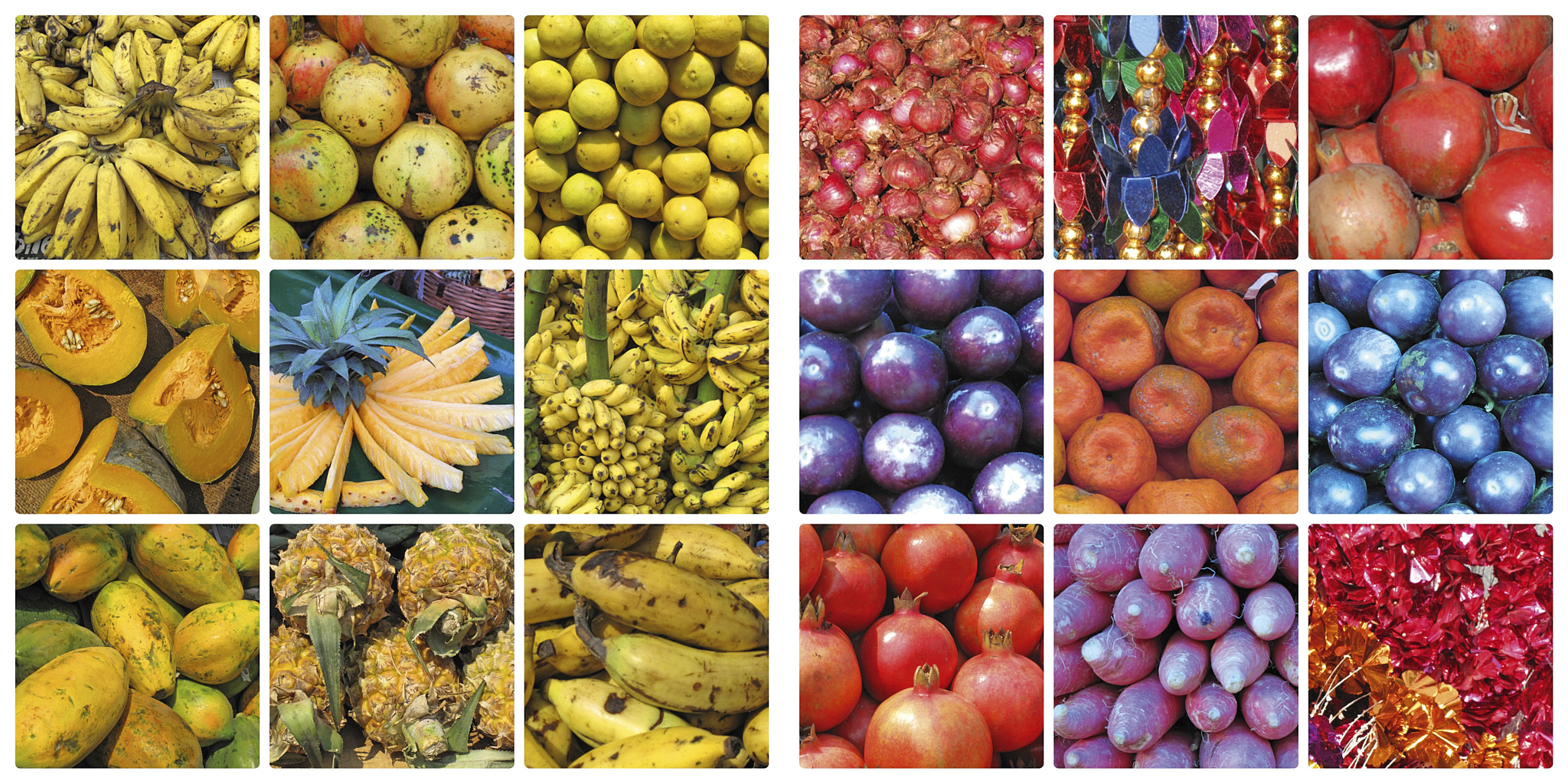 India%20©2021DanielSpehr016